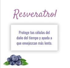 💎 Colágeno Doblemente Hidrolizado Renova+